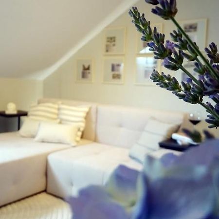 Petite Grey Apartment With Free Private Parking Zagreb Extérieur photo
